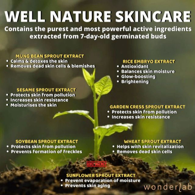 well nature skincare