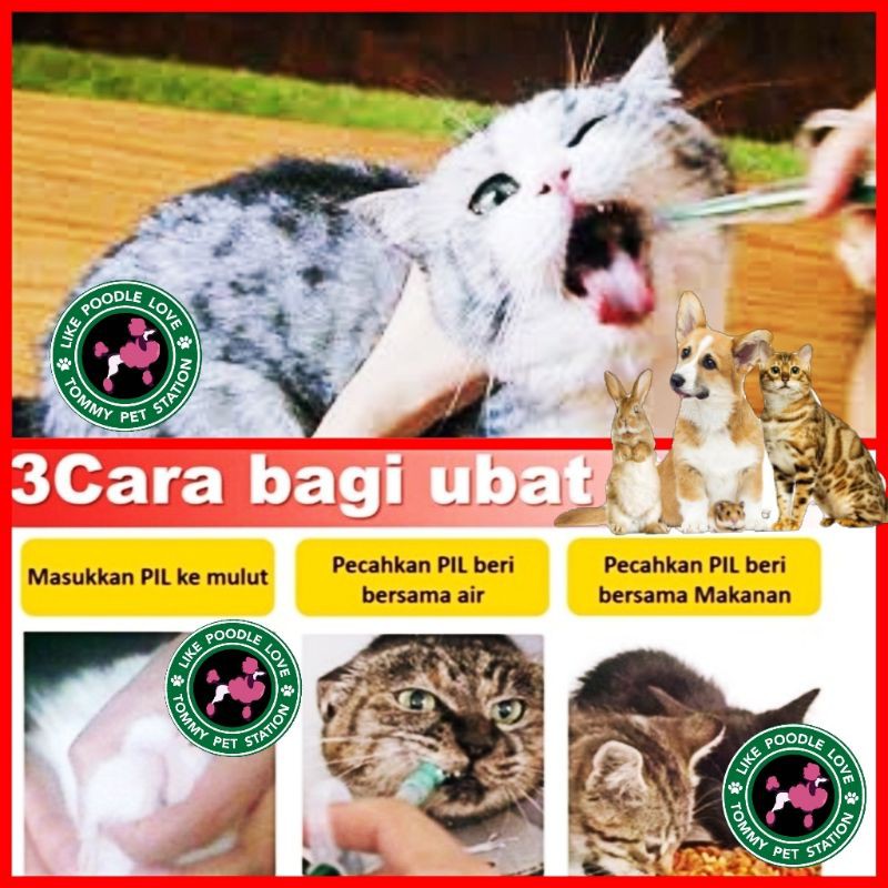 Ubat Cirit Birit / Muntah / Keracunan / Diarrhea Kucing u0026 Anjing