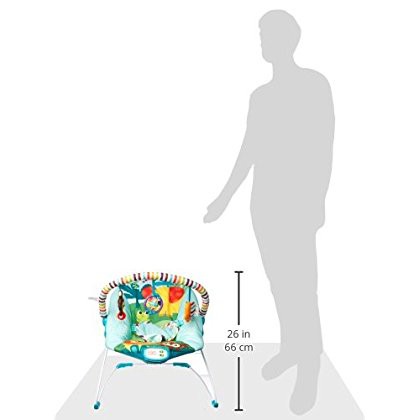 bright starts safari smiles bouncer