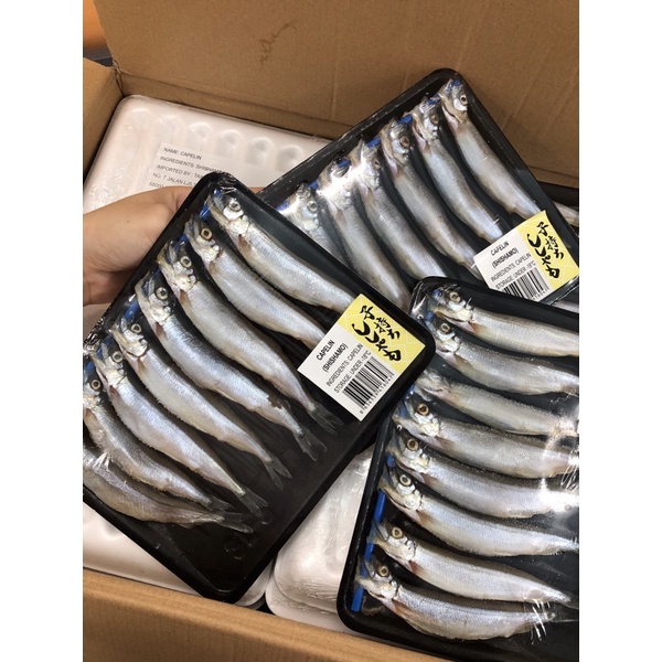 Buy Shishamo 8pcs 多春鱼 Seetracker Malaysia