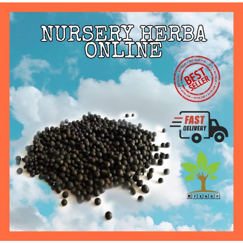 Buy Baja Kopi Organik Seetracker Malaysia