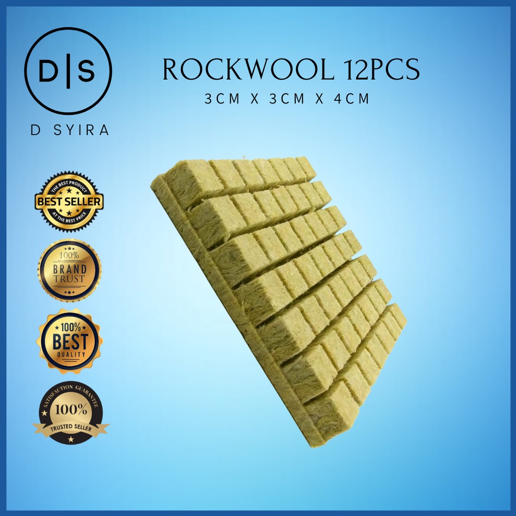 Molyorch Steinwolle Würfel 72 Stück - Für Stecklinge & Erdloses Gärtnern