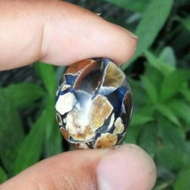 Fosil Getah Katilayu Blue Best Quality  Shopee Malaysia