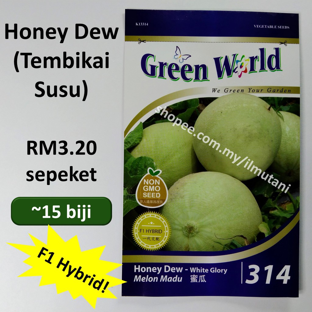 cara menanam tembikai susu