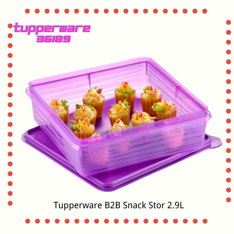 Tupperware B2B Snack Stor 2.9L | Shopee Malaysia