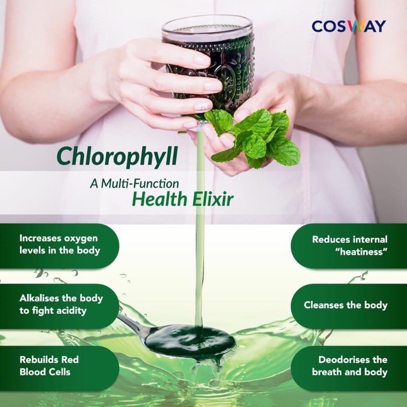 Buy Cosway Nn Liquid Chlorophyll Plus A Delicious And Refreshing Drink With Concentrated Chlorophyll From Mulberry Leaves Seetracker Malaysia