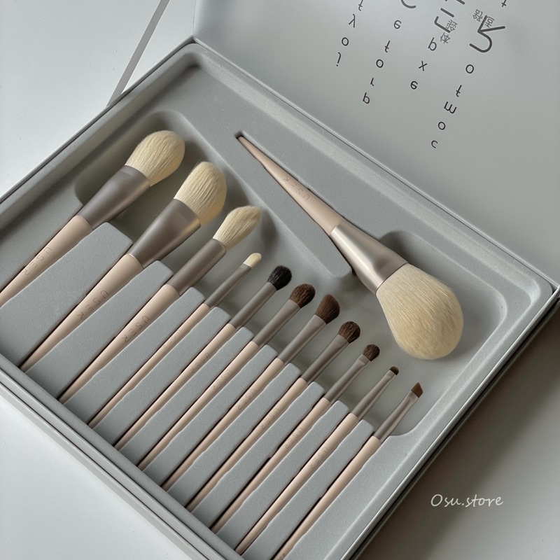 USER Morandi 12 Makeup Brush Sets ️ Student Party Must-Have Set