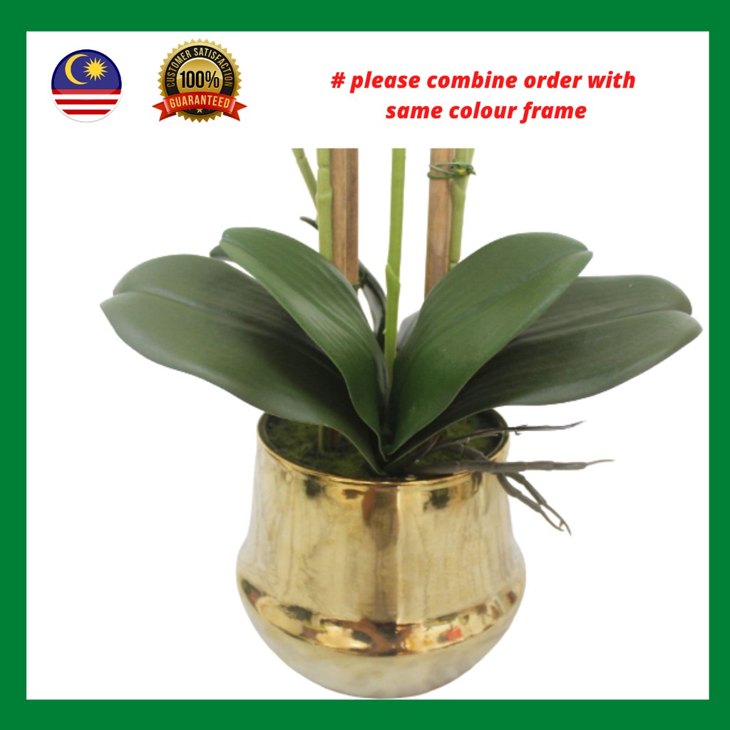 Daun Mini Orkid Latex Daun Orkid Cantik Daun Orkid Murah Daun Orkid Hiasan Rumah Bilik Office Orcid Leaf Latex