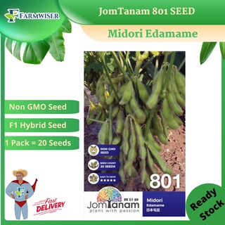 JomTanam Midori Edamame NON GMO SEED, F1 Hybrid seed ( 1 Pack = 20 ...