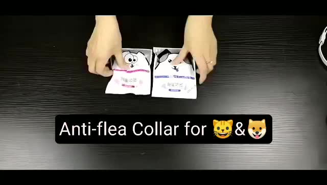 Buy Pet Cat Anti Flea Prevention Pink u0026 Grey Collar Ubat Kutu 