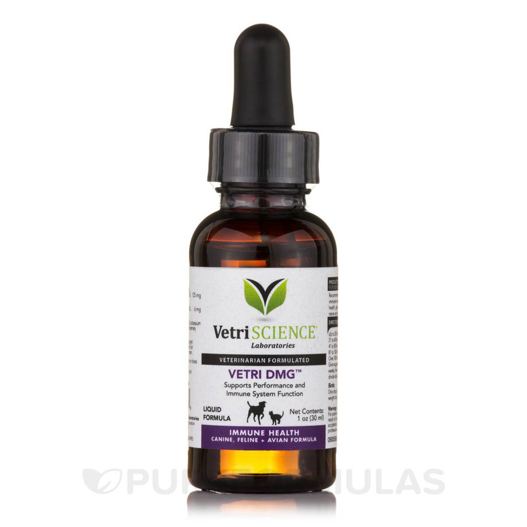 Vetri DMG Liquid, Immune Support (Cats & Dogs), Bagi Kucing & Anjing