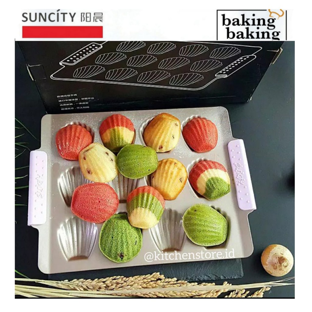 Suncity Shell Medeline Pan Suncity Madeleine Pan YC8081-1