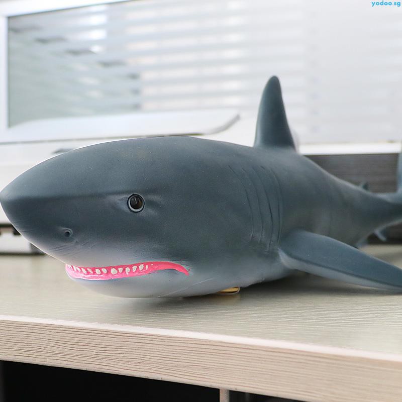 toy rubber shark