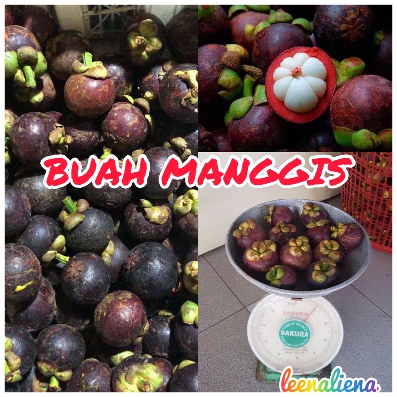 BUAH MANGGIS SEGAR DARI KEBUN 1KG