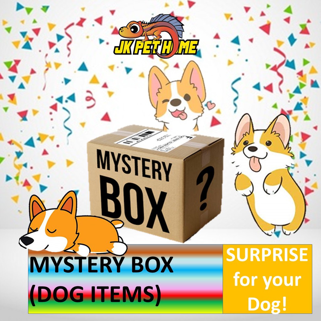 dog mystery box