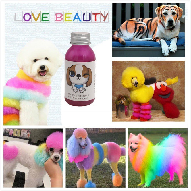 Performance Hair Dye Gel For Dogs Professional Pet Hair Cream