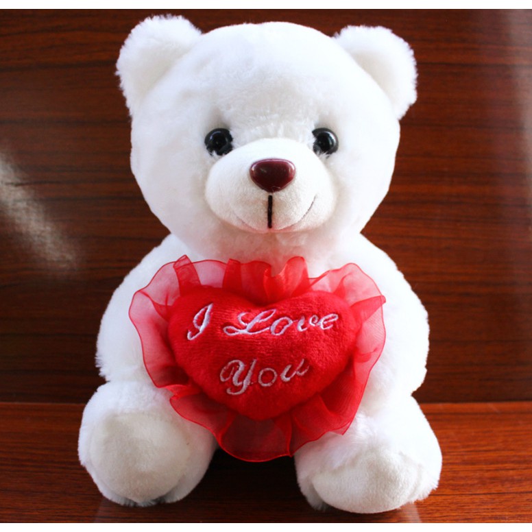 custom made teddy bear with voice message