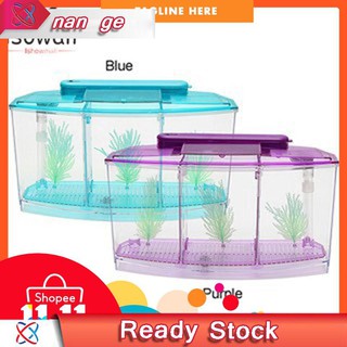 Betta Aquarium Akuarium Ikan Laga Shopee Malaysia