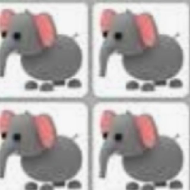 Elephant Adopt Me Safari Pet Shopee Malaysia - roblox adopt me all safari pets