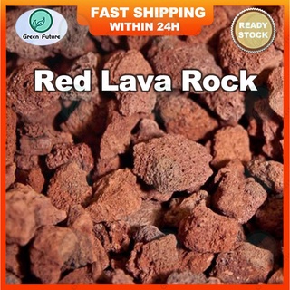 Red Lava Rock  PASIR MALANG  Volcanic Stone Bio Filter Media  Succulent Volcano Stone 火山石 红火山石