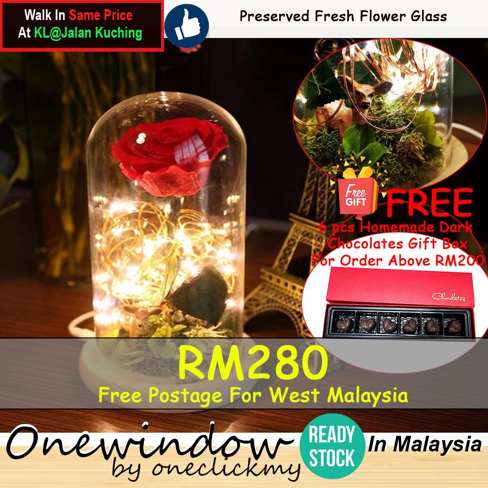 [ READY STOCK ]In Malaysia 2020 Valentine's Day Enchanted Preserved Fresh Rose With Deer And LED Glass Gift Box/LED永生花礼盒