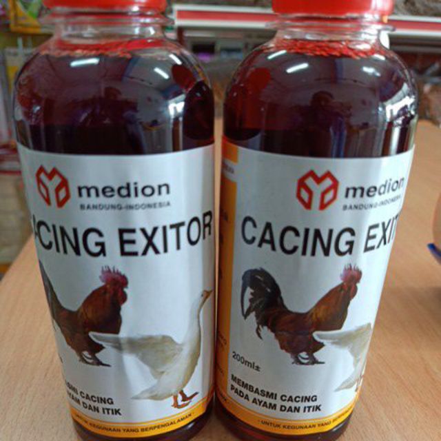 Cacing Exitor medion bandung-indonesia (Restock ready 