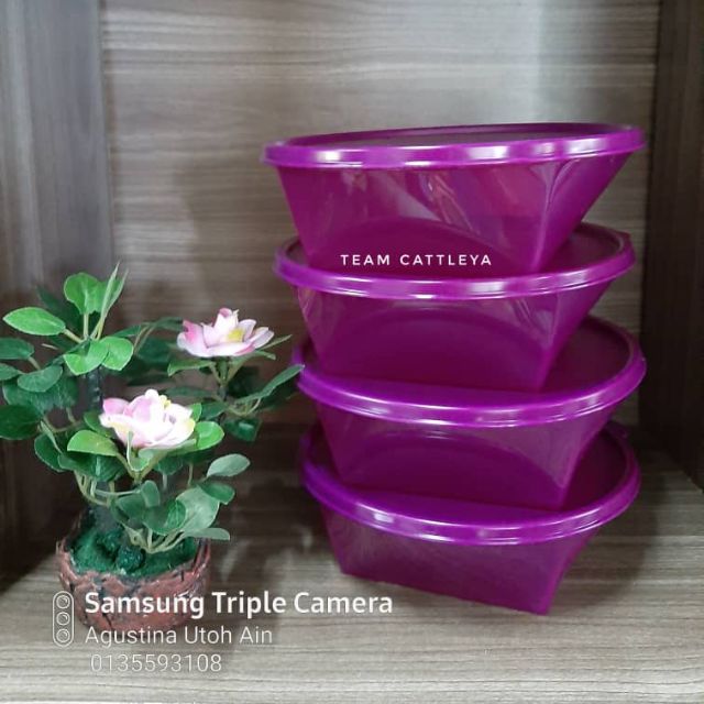 [Ready stock] Outdoor Dining bowl [original Tupperware] (1pcs)