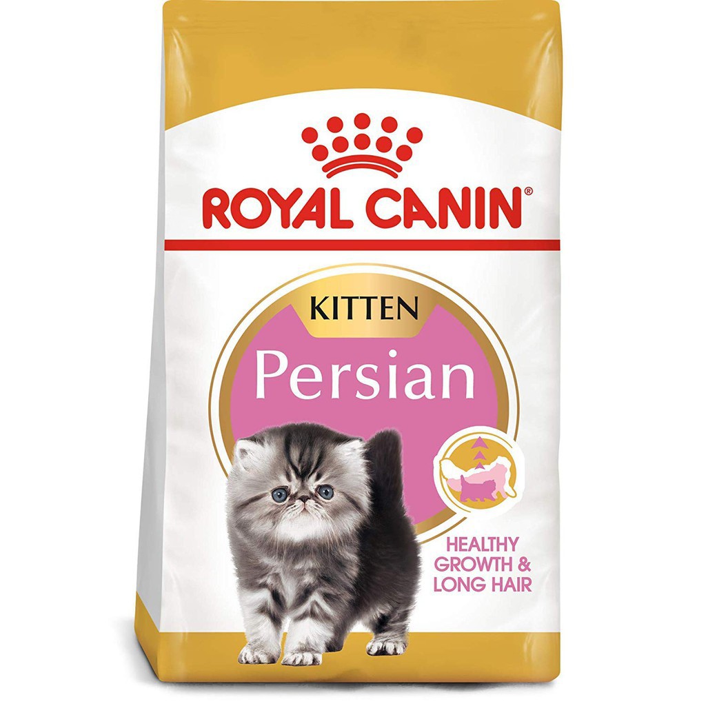 View Rc Kitten Persian Pics Adopt Siberian Kitten