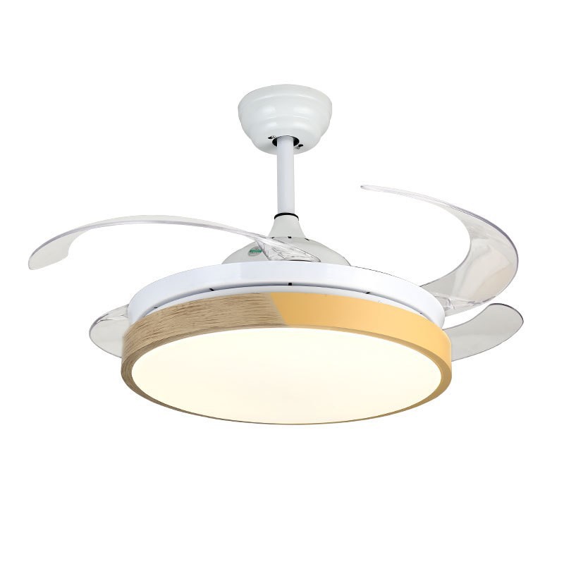 New Design Design 220v Ceiling Fan Light Delux With Decorative Fans Lights