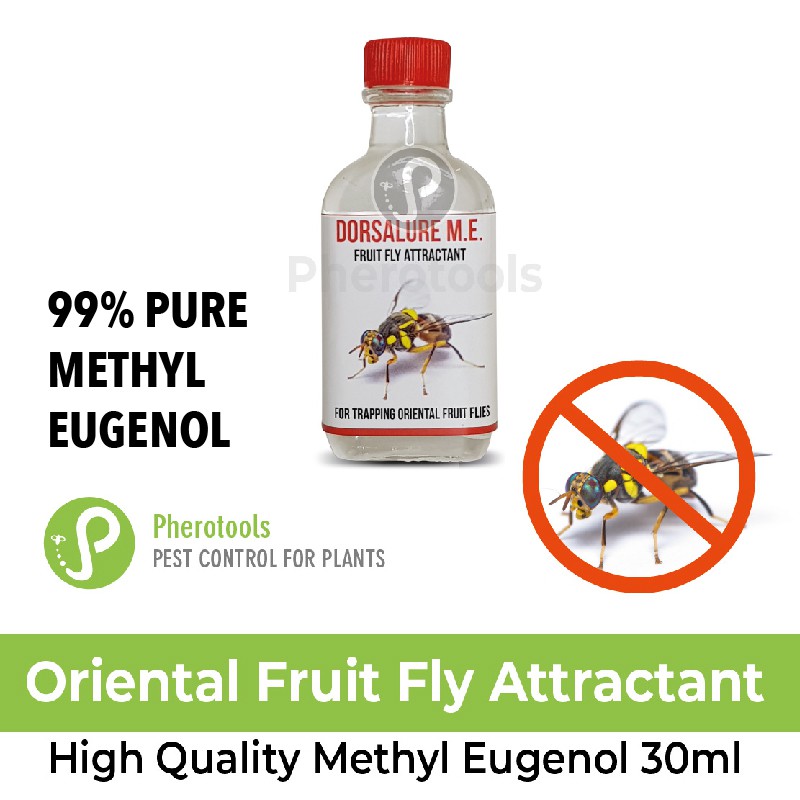 Oriental Fruit Fly Pheromone Attractant for Trapping (Methyl Eugenol
