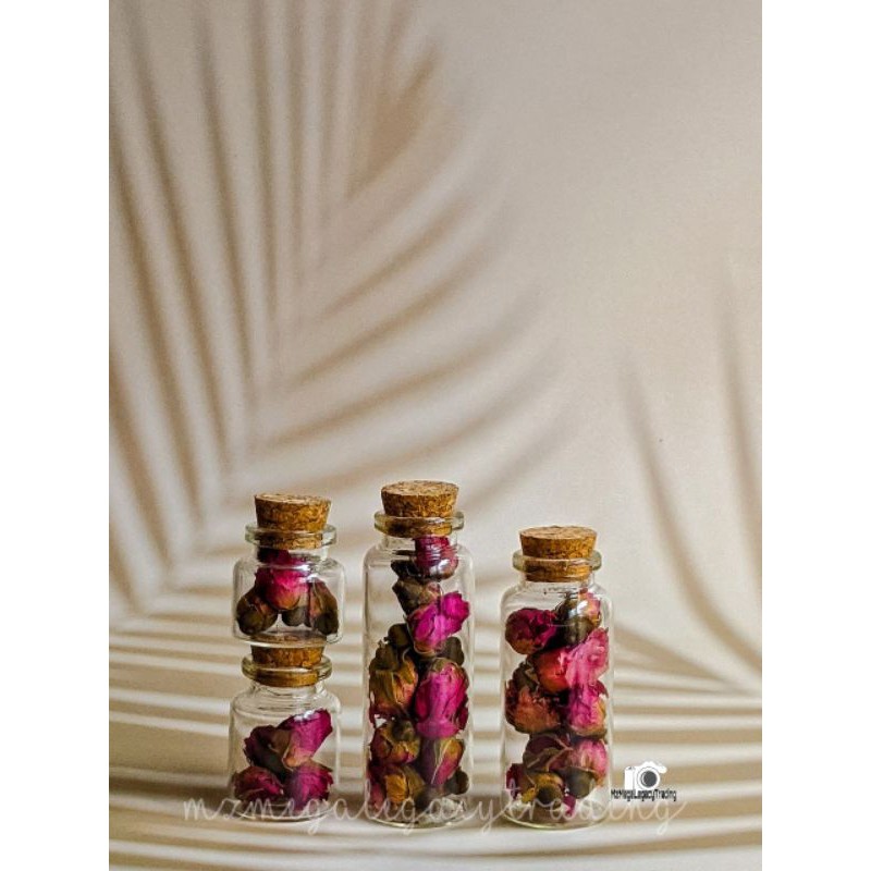 Buy Ready Stock 4pcs Cute Empty Clear Glass Cork Stopper Plus Dried Flowers Seetracker Malaysia