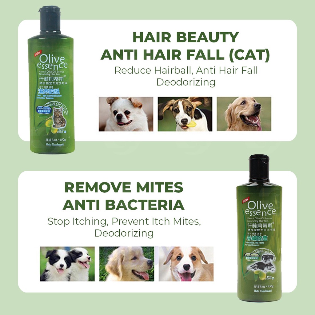 does olive oil help with dog dandruff