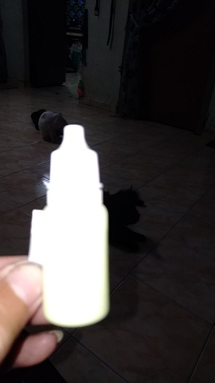 Ubat Cacing kucing repack (Wormnil Vet Suspension) 10ml 