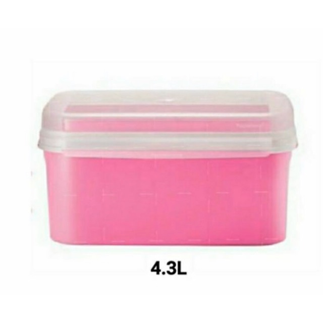 Tupperware Ezy Rect Keeper 4.3 L .