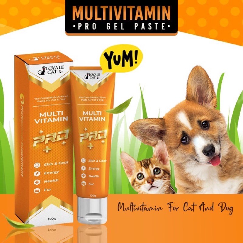 😻 LOYALECAT multivitamin Paste (Cat) 120G Multivitamin Growth Booster