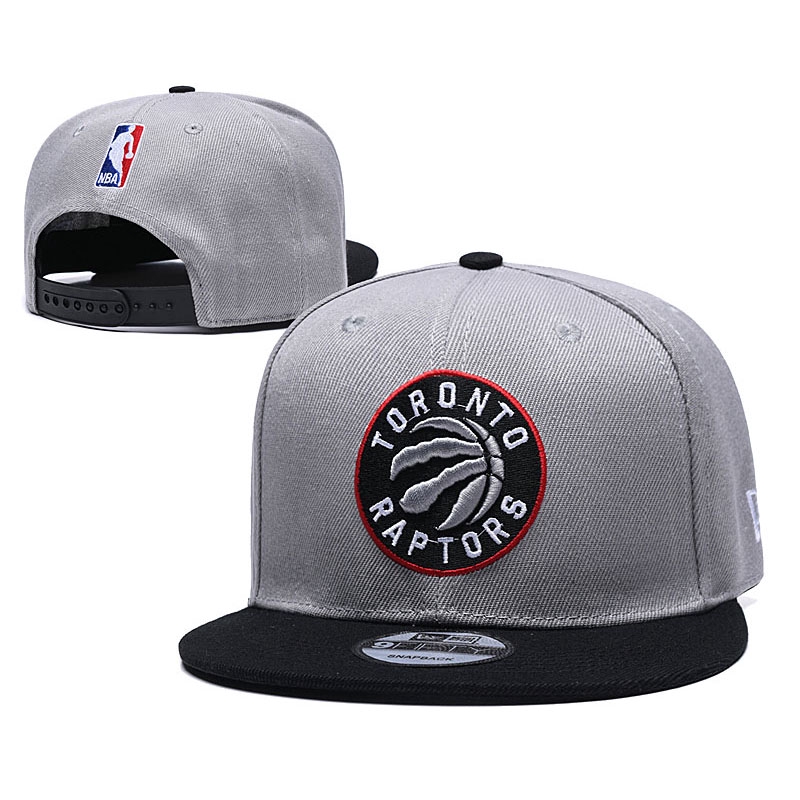 raptors 2019 hat