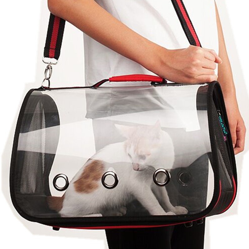  Beg  Travel Untuk Kucing  Pet Carrier Transparent Carrier 