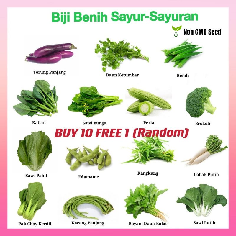 [ready Stock] Biji Benih Sayur Sayuran Vegetable Seeds Shopee Malaysia