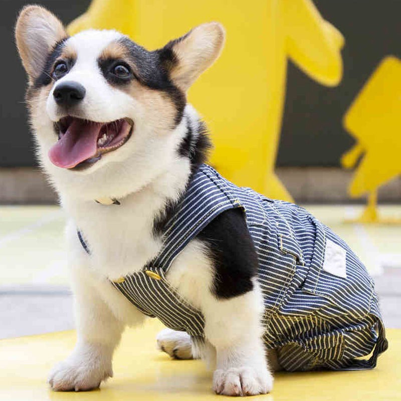 狗狗衣服日系棒球服四脚衣柯基泰迪宠物中小型犬装潮牌薄款dog Clothes Japanese Baseball Uniform Four Legged Clothes Co3 30