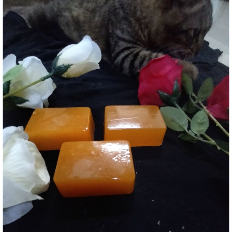 Sabun Sulfure Untuk Kucing