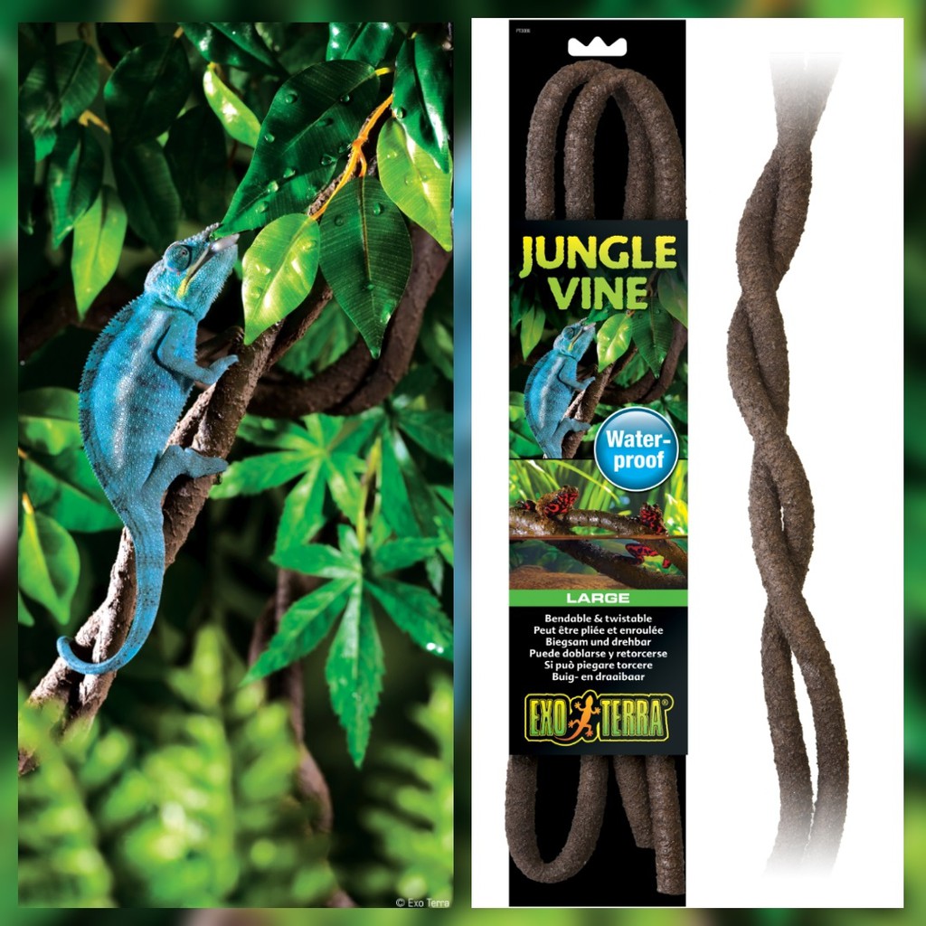 BR1 M Lot of 3-6' Artificial Flexible Reptile Chameleon Jungle Vines 