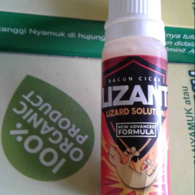 Ubat bunuh cicak.racun cicak.kena cara dan gaya serta 