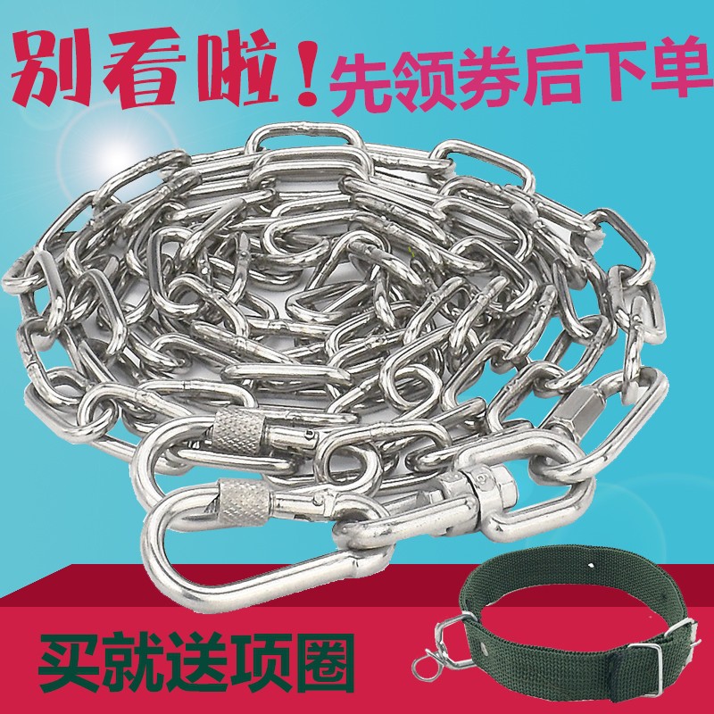 long dog chain leash