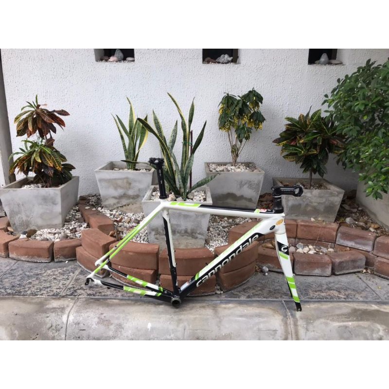 cannondale caad10 track frameset