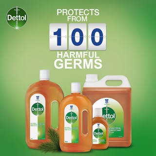 dettol 5l price