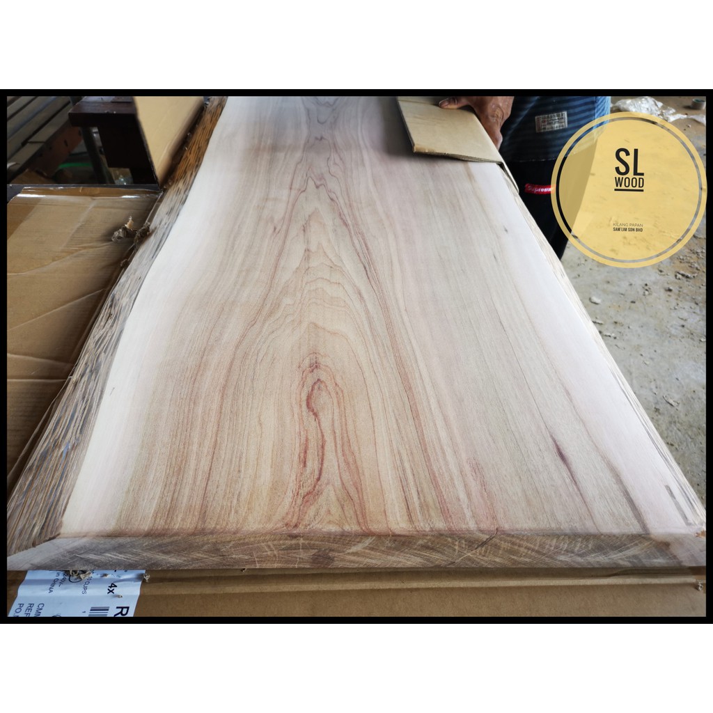 Surian Batu Live Edge Slab Hard Wood with nature coat 5CM(T) x 55CM(W