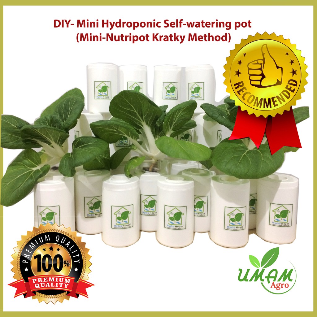  DIY  Mini Hidroponik  Hydroponic Self watering pot Mini 