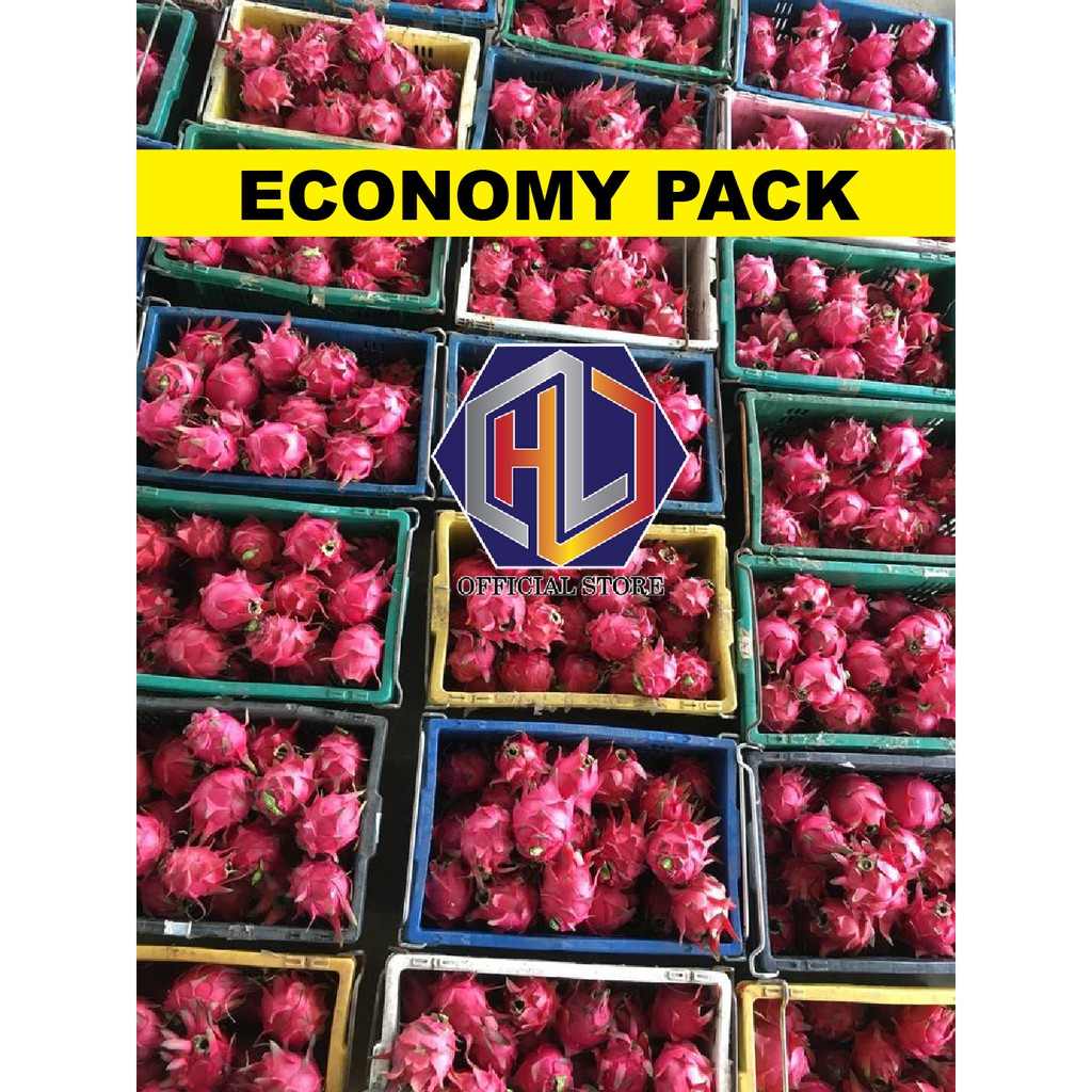 Economy Pack Red Dragon Fruit / Buah Naga Merah 6 Biji (300g++ sebiji) 火龙果/龙珠果 1 袋 6 粒 （1 粒 300g++）