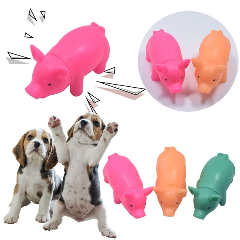 squeaky pig dog toy noise