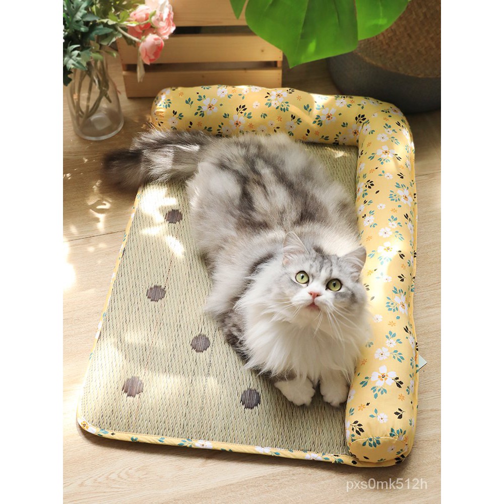 Musim PanasのSangkar Kucing Kucing Sampah Rumput Musim Panas Alas 